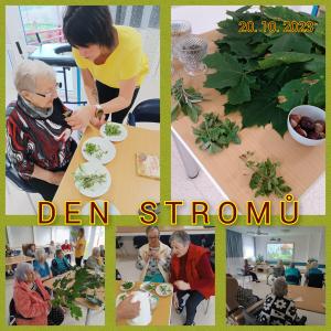 Den stromů 1