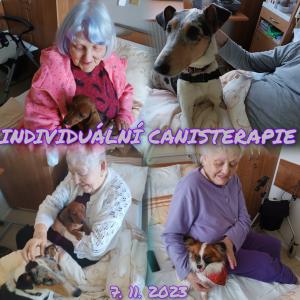 Canisterapie individuální
