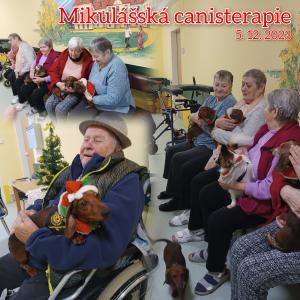 Mikulášská canisterapie 1