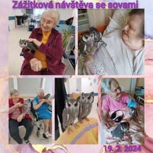 Zážitková návštěva se sovami 1