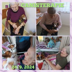 Canisterapie 1