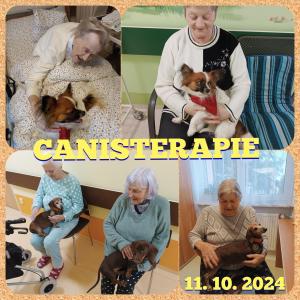 Canisterapie 1