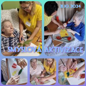 Smyslová aktivizace 1