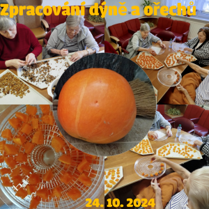 Zpracování dýně a ořechů 1