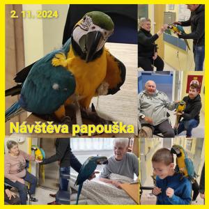 Návštěva papouška 1
